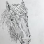 Horse in Savoie